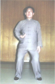 Foto 10 Pequeña Espiral 4