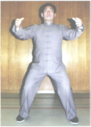 Foto 1 Chen Xiaowang haciendo Zhan Zhuang
